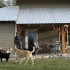 off-grid-timberframe-marjorie off-grid-timberframe-marjorie